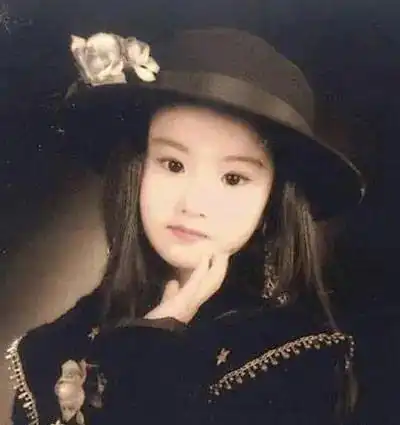 娱乐圈女明星的干爹陈金飞,他凭什么把刘亦菲和杨采钰捧红