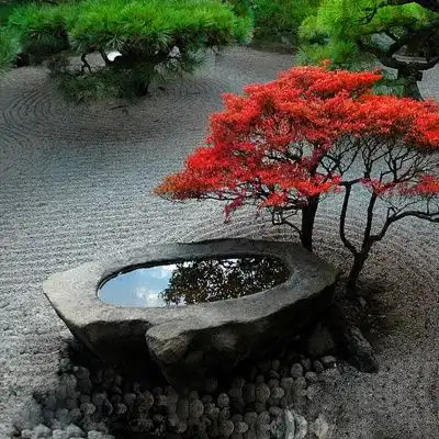 日本庭院为何大受欢迎这14个日式庭院设计,果然诱惑满满