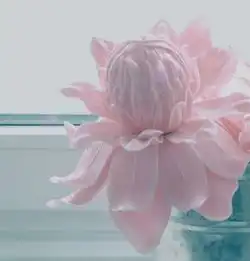 容易被虚拟网络爱情冲昏头的星座,这样的爱情完全不值得留恋