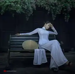 世上有两位东方美人一个在中国,另一个竟然在越南