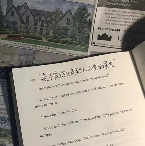 没有万念俱灰,哪来绝处逢生,当狮子座深深爱过,似乎变得不简单