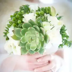 多肉植物手捧花胸花