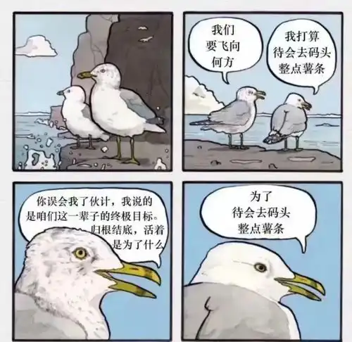 是谁工作了一周跑到天津喂海鸥是我
