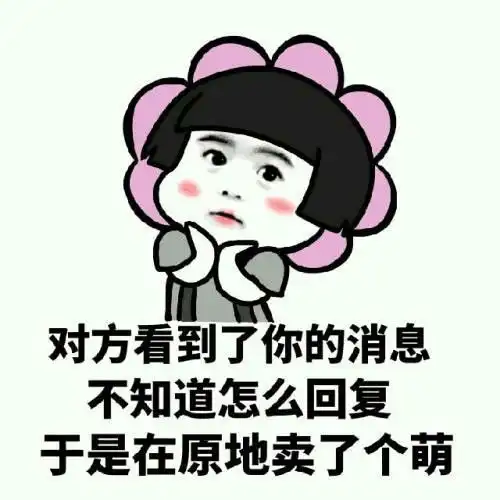 搞笑gif段子只需一只小蜜蜂,就让猫掌变熊掌