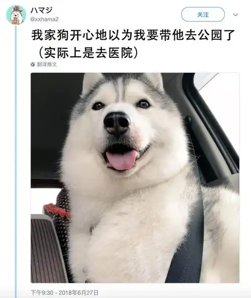 胡说八卦大概这就是女神和女汉子的坐姿了