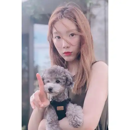 说起爱狗的韩星,我第一个想到了ta