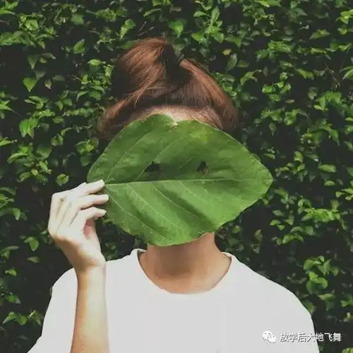 放学后专家工作坊怎样练好软开度