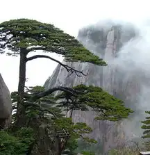 黄山,黄山在哪里黄山在哪个省属于哪个省就去旅游网