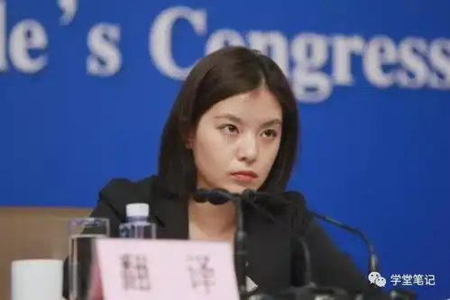 高冷女翻译张京,16分钟速译惊艳国人网友比我漂亮还比我努力
