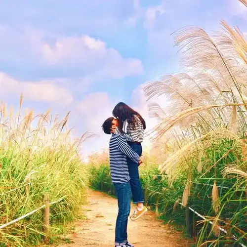 头像网名全套女生情侣网