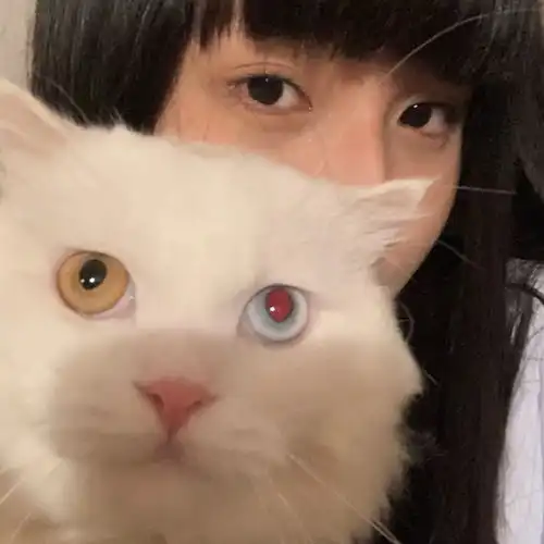 依旧爱你,女生头像