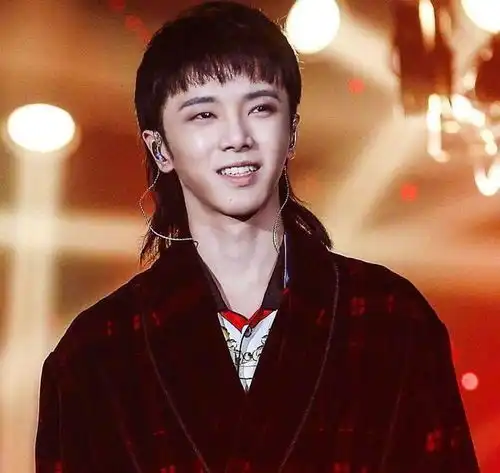 娱乐圈翻车明星盘点王力宏人设崩塌,维嘉形象受损仅他毫发无伤