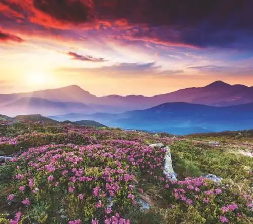 女人专用微信头像山水好