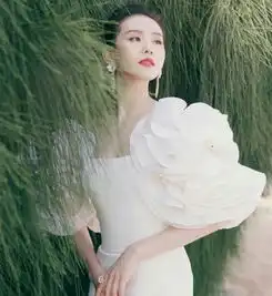佟丽娅的仙女裙,关晓彤的星光裙,都输给了刘诗诗的天鹅裙