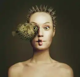 她是最会玩自拍的摄影师,作品被卢浮宫收藏,被photoshop用来做启动画面
