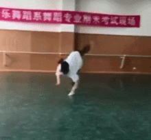 闺蜜想结婚都快想疯了
