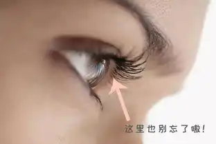 单眼皮肿泡眼难画这些技巧你掌握多少