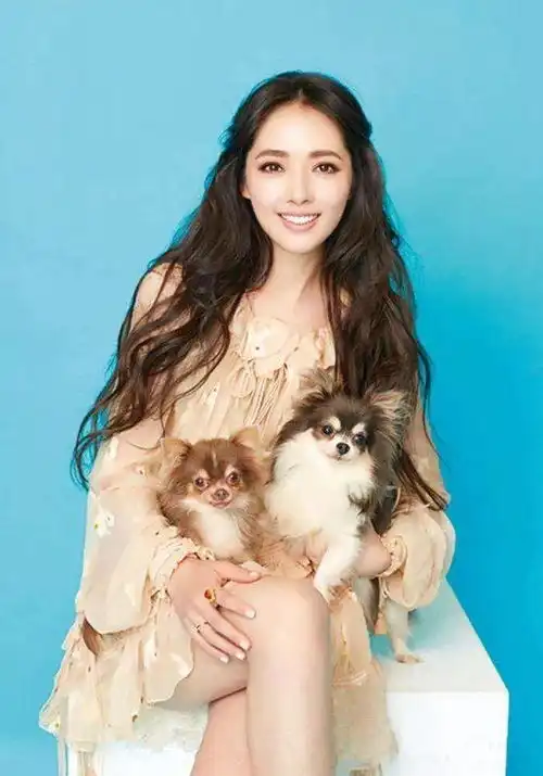 为什么向太最后选了郭碧婷答案就这五个字