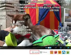 王思聪家王可可是个碧池淘宝店明天开卖亲买吗