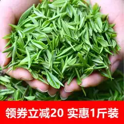 茶叶绿茶绿茶叶日照高清香浓香新茶散装
