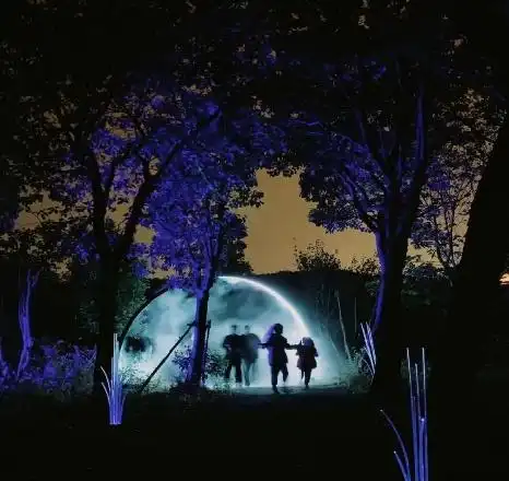 奇幻森林来奉贤感受沉浸式焕光森林的生态之光