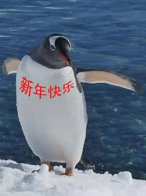 一个长假不够用走跟我去过24个春节