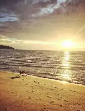 王菲携小女儿李嫣赴泰国度假晒夕阳海景照
