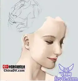 ps鼠绘精美的美女头像鼠绘教程fevte