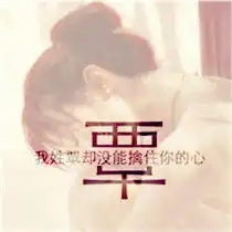 姓氏头像杨莫赵刘姚易谢任潘吴蔡付覃