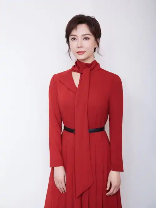 又是被陈数的女人味征服的一天优雅精致的小裙子,超有气质的