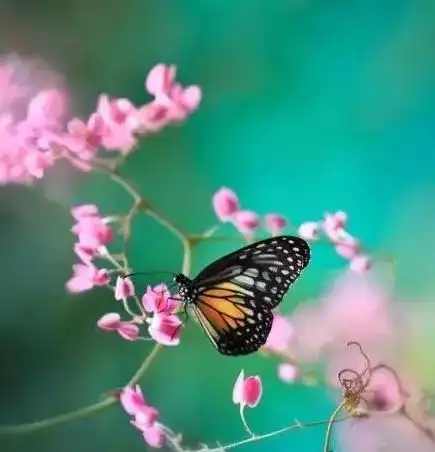 感恩遇见,珍惜眼前