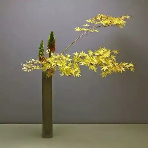 微信图片头像佛系禅意