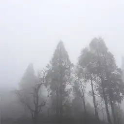 能带来好运的微信头像意境图片做个江湖人不染凡俗气