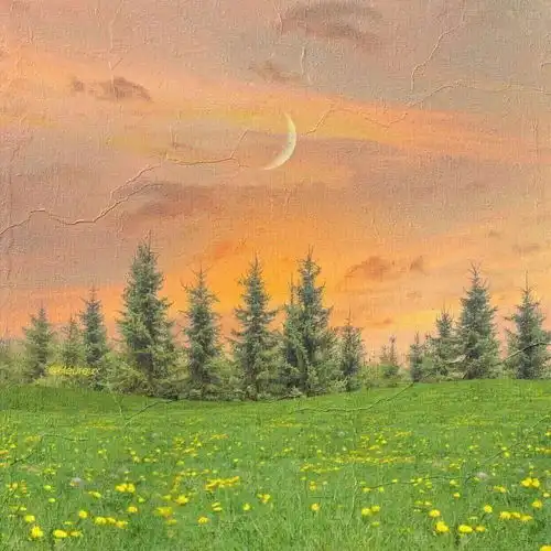 可爱小女孩头像大眼睛荒