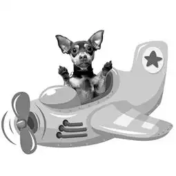 可以把狗狗带上飞机吗目前宁波机场有宠物托运服务