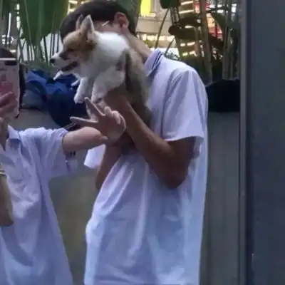 许赳ins情头扎不好马尾笨蛋我情侣头像我要个性网