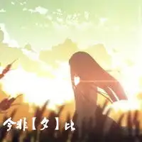吃货的天下v