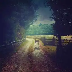 美女qq图片头像暮色森林