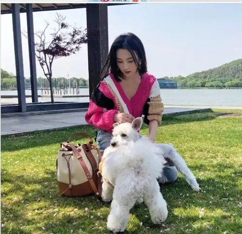 宋祖儿穿拼色v领毛衣搭配牛仔裤,真是春日里的彩色穿搭范本