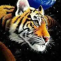 适合微信头像上山虎微信头像图片大全