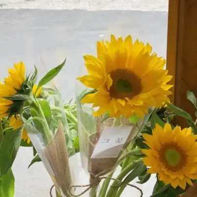 吃什么药能治愈尖锐湿疣