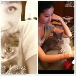 09届快女相聚时间都去哪儿了