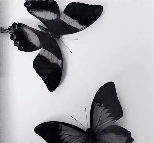 那些值得你细品的文案.