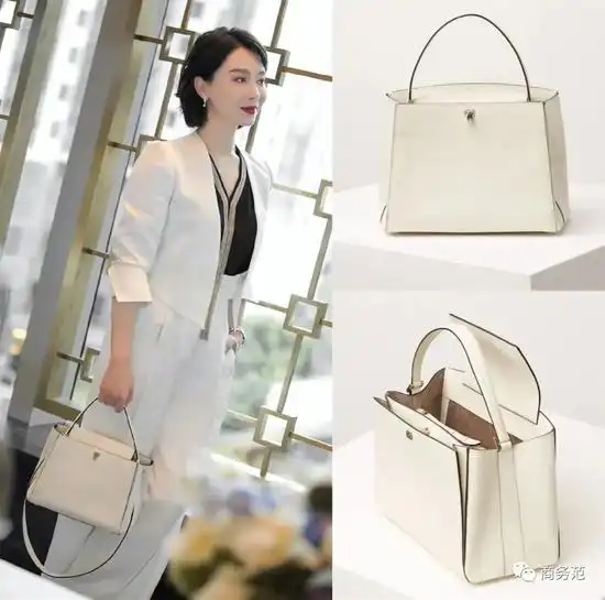 职场剧女boss背什么包是斯黛拉拎的爱马仕还是苏明玉爱的valextra