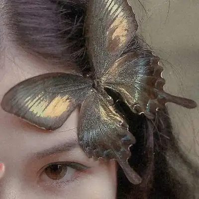 凤凰的凤蝴蝶的蝶,凤凰涅槃浴火女生头像我要个性网