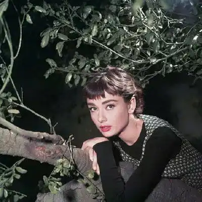 赫本头像经典复古奥黛丽赫本高清头像图片