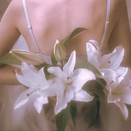 句子荷花不知道,自己就是夏天