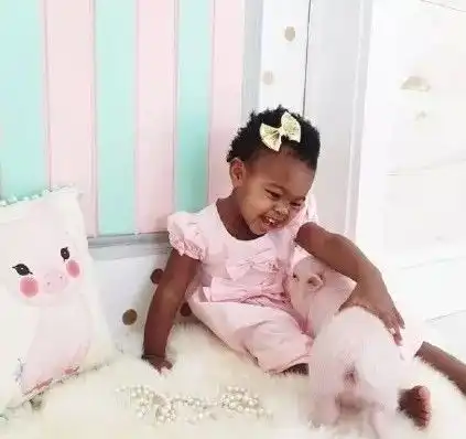 2岁宝宝和3个月大猪仔的故事