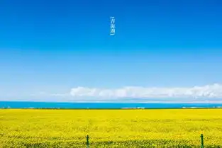 不能再等了青海湖已开启天堂模式天空之境茶卡盐湖大美青海湖张掖七彩丹霞祁连山大草原,纯玩0购物,超值六天