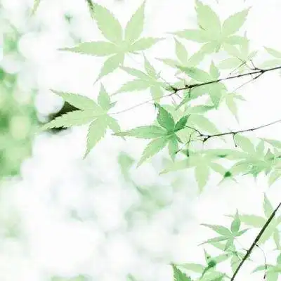 风景头像女生气质唯美一